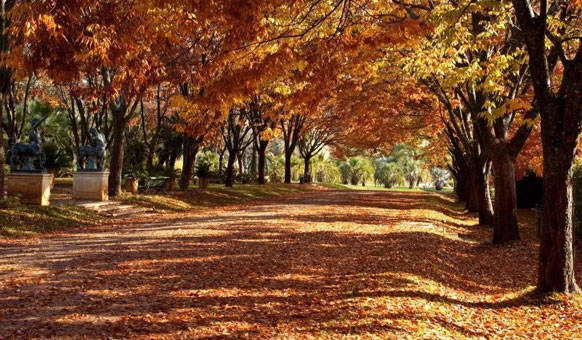 Autumn-Path.jpg