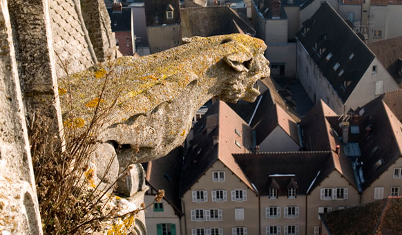 Chartres-Gargoyle-1280.jpg