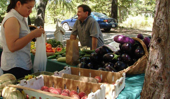 Luca-Grand-Bazaar.jpg