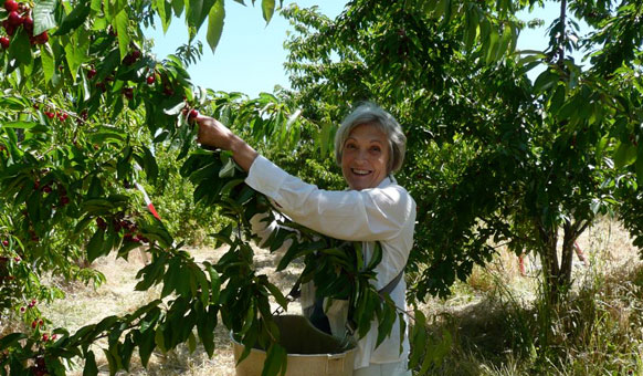 Mary-Harvest.jpg