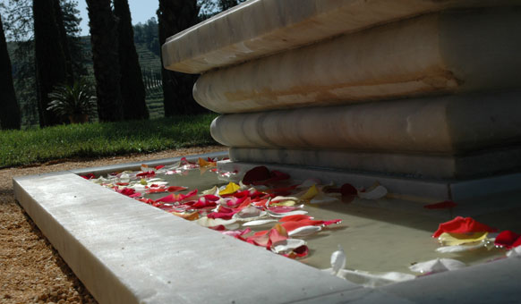 Oasis-Fountain.jpg