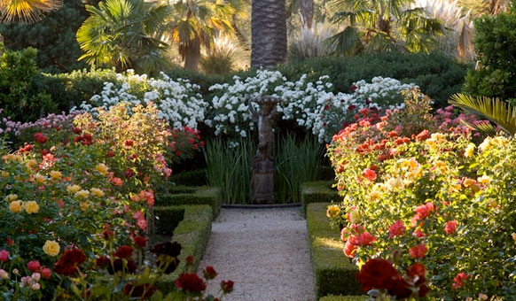 Rose-Garden.jpg