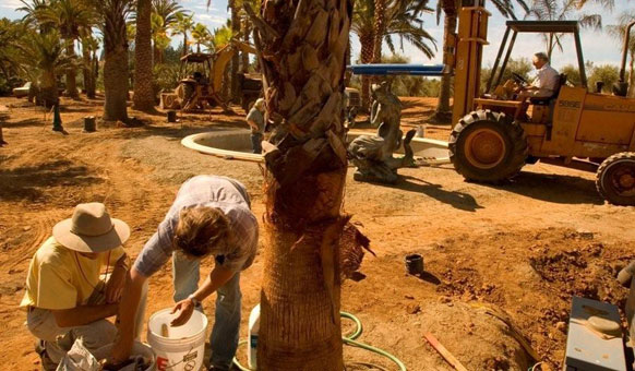 Students-Planting-Palms.jpg